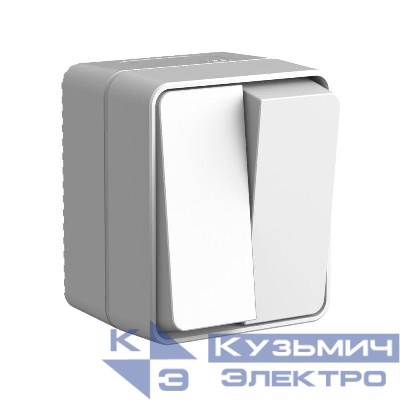 Выключатель 2-кл. ОП AtlasDesign PROFI IP54 10АХ сер. SE ATN543051