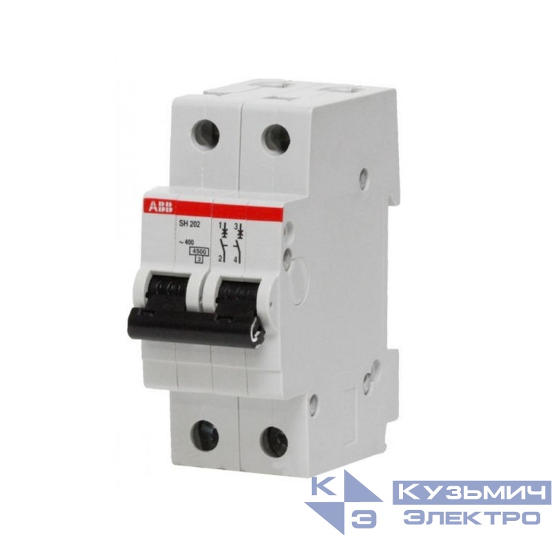 SH202 C16  6,0кА  Автоматический выключатель 2-полюсный 2CDS212001R0164