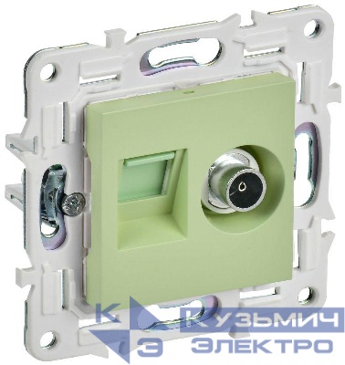 Розетка двойная TV+RJ45 кат.5E SKANDY SK-A14G мятный IEK SK-AK20-1-K06