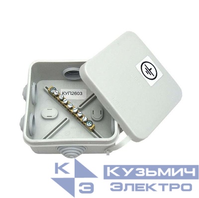 Коробка распределительная ОП 85х85х40мм IP55 (ШДУП) HEGEL КУП2603-И