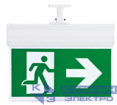 Светильник светодиодный SSA-103-1-20 "Человек-стрелка" 3Вт IP20 аварийный 3ч двусторонний со сменными пиктограммами; кнопка "тест" Эра Б0044392