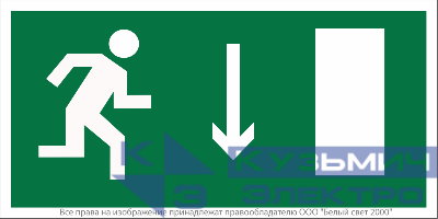Знак безопасности NPU-2110.E09 "Указатель двери эвакуационного выхода (правосторонний)" Белый свет a10879