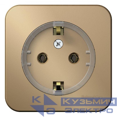 Розетка 1-м ОП Blanca 16А IP20 250В с заземл. без защ. шторок с изолир. пластиной (компакт) титан SE BLNRA110114