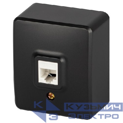 Розетка Эксперт 11-3203-05 информационная RJ45 IP20 ОУ антрацит Эра Б0062988