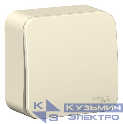 Переключатель проходной 1-кл. ОП Blanca 10А IP20 (сх. 6) 250В с изолир. пластиной молочн. SE BLNVA106012