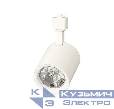 Светильник светодиодный трековый PTR 0530 30Вт 4000К IP40 24град. WH бел. Pro JazzWay 5010642