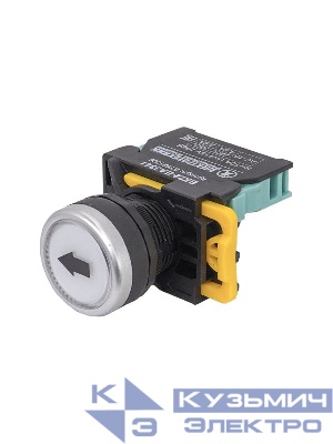Выключатель кнопочный ВК22-EA3341-65У1 1НО+1НЗ цилиндр d22мм IP65 бел. Электротехник ET521006
