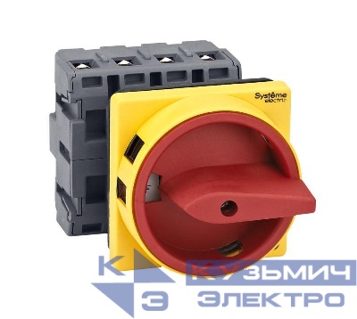 Выключатель-разъединитель 4п 63А IP20 с красн. рукоят. на дверцу 4 винтами с замком SE MSD63410R