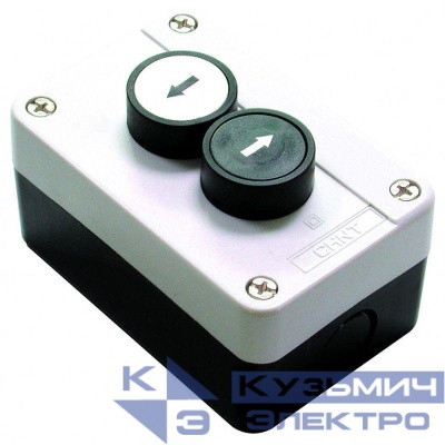 Пост кнопочный NP2-B222 1НО+1НО (R) CHINT 573941