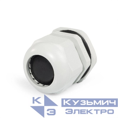 Сальник PG29 18-25мм Fortisflex 51299
