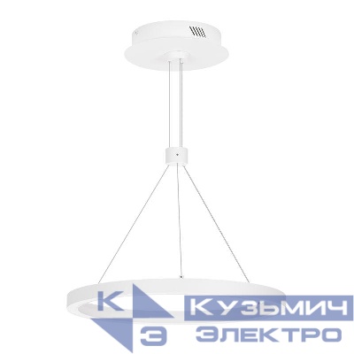 Светильник светодиодный SP-CONGO-CAN-1-R400-24W Warm3000 (WH 120 deg 230В) IP20 металл Arlight 046212