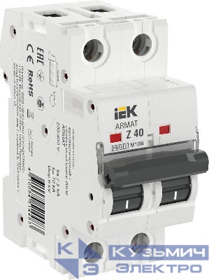 Выключатель автоматический модульный 2п Z 40А M10N ARMAT IEK AR-M10N-2-Z040