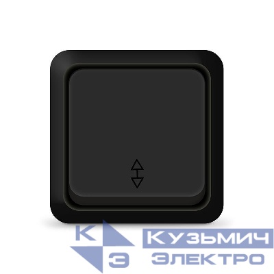 Переключатель проходной 1-кл. ОП Олимп 10А IP20 черн. Universal 2210