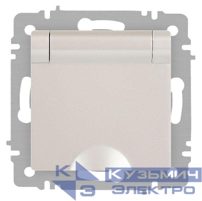 Розетка 1-м СП Accent 6-203-06 16А IP20 250В 2P+E Schuko с крышкой AL/CU перламутр. Intro Б0063429