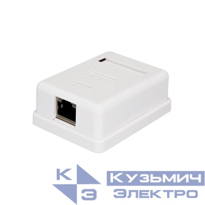 Розетка компьютерная 8P8C (RJ-45) FTP кат.6 1 порт SUPRLAN 10-0352