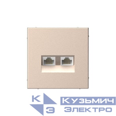 Розетка компьютерная 2-м ArtGallery RJ45 + RJ45 кат.5E механизм песочн. SE GAL001285