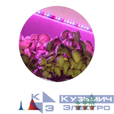 Лента светодиодная FITO-Strip Light-RB-2m 2м для растений красн./син. спектр IP65 Эра Б0057282