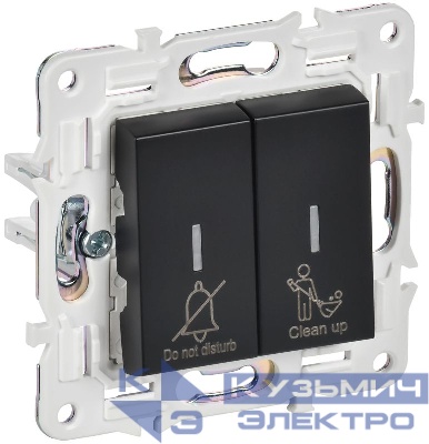 Выключатель 2-кл. SKANDY 10А SK-V16Bl для отелей с индикацией черн. IEK SK-V20-2-10-K02