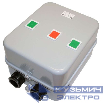 Пускатель ПМ12-063621 У2 В 63А кат. 220В AC с реле РТТ-231 63.0А Кашин 060621221ВВ220000900