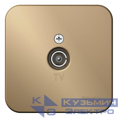 Розетка телевизионная TV ОП Blanca 16А 250В коннектор с изолир. пластиной титан SE BLNTA000014