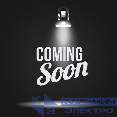 Переключатель СП Accent 6-103-11 10А IP20 250В AL/CU сосна Intro Б0063427