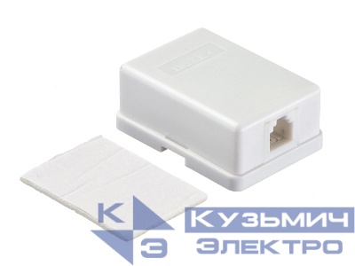 Розетка телефонная внешняя / 1 порт RJ11(6p2c) / 2 контактная, белая, Netko