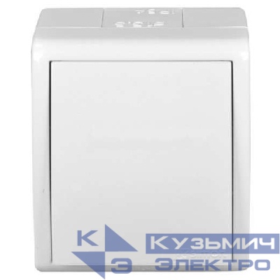 Выключатель 1-кл. ОП Simon 15 Aqua 10А IP54 винтов. зажим бел. Simon 1594101-030