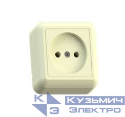 Розетка 1-м ОП Оптима РА10-375 10А IP20 без заземл. с монтаж. пластиной сл. кость Кунцево 8035