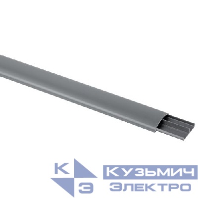 Кабель-канал напольный 50х12 L2000 RAL 7046 сер. KK-50-12-FG Эра Б0064436