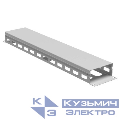 Органайзер кабельный 19дюйм с крышкой и отверстиями 2U глубина 40 мм RAL7035 DKC R5CPF1942HE