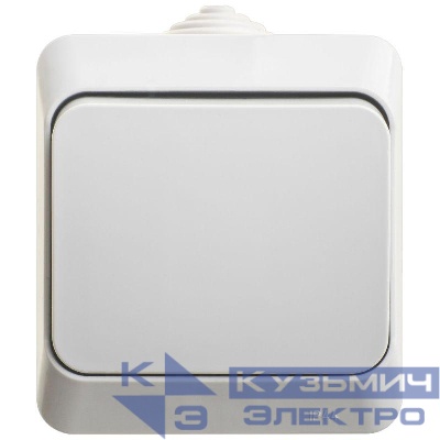 Переключатель проходной 1-кл. ОП Этюд 10А IP44 10AX сер. SE BA10-046C