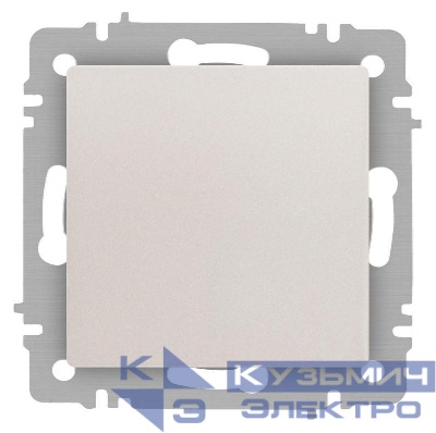 Кнопка Accent 6-109-06 10А-250В IP20 СУ перламутр. Intro Б0063615