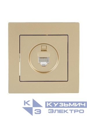 Розетка компьютерная VESNA зол. LEZARD 742-3688-139