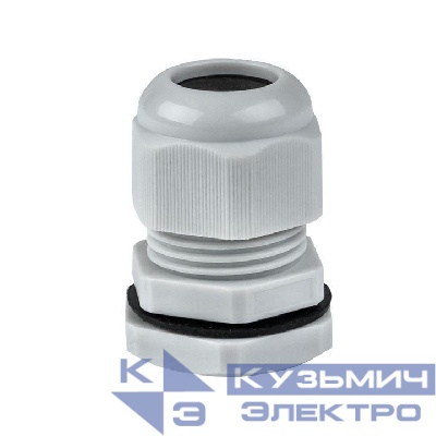 Сальник PG16 d10-14мм (d отверст. 21мм) IP54 PROxima EKF plc-pg-16-r