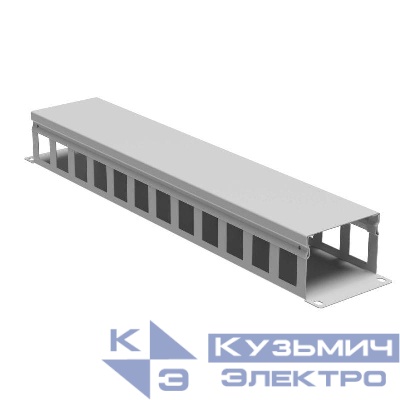 Органайзер кабельный 19дюйм с крышкой 2U глубина 60 мм RAL7035 DKC R5CP1962HE