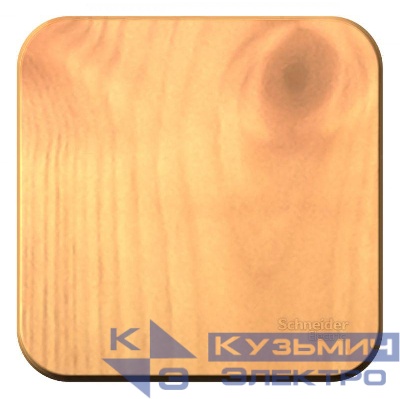 Выключатель 1-кл. ОП Blanca 10А IP20 (сх. 1) 250В с изолир. пластиной ясень SE BLNVA101015