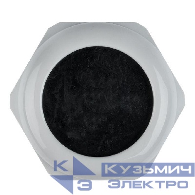 Сальник PG42 IP54 EKF plc-pg-42