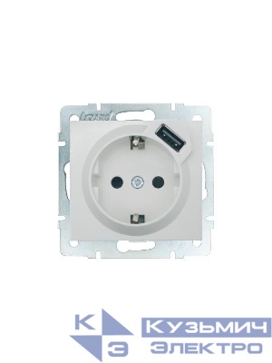 Розетка 1-м СП RAIN 16А IP20 с заземл. + USB механизм бел.. LEZARD 703-0288-181