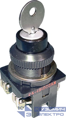 Выключатель кнопочный КУ-200161 ЧЭАЗ A8119-80080195