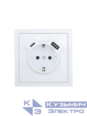 Розетка 1-мест. с/з Type-C+USB разъем СП ZIMA бел. LEZARD 704-0288-181TC