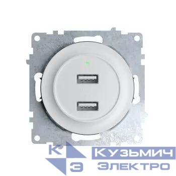Розетка USB 2-м СП Florence 16А IP20 с подсветкой механизм бел. (1E10351300) OneKeyElectro 2260089