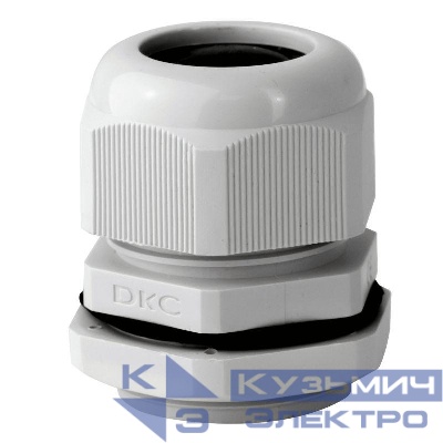 Ввод кабельный Dкаб. 20-31мм IP68 PG36 с контргайкой DKC 53200