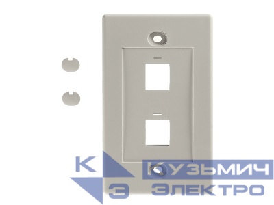 Накладка для внутренней розетки RJ45 / 2 порта / белая РАСПРОДАЖА