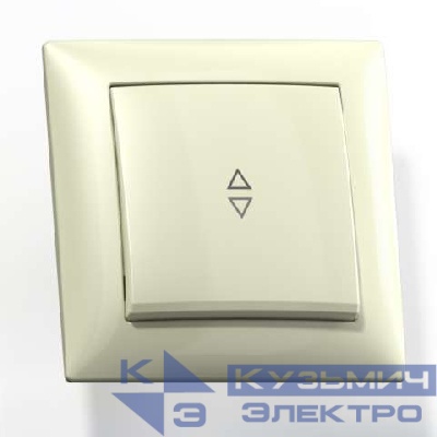 Переключатель 1-кл. СП Селена 10А С610-396 сл. кость Кунцево 8141