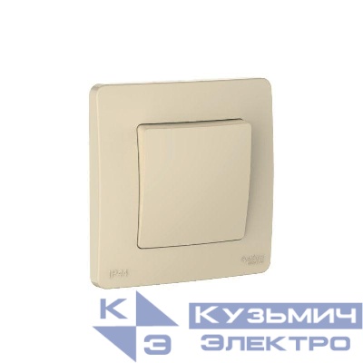 Переключатель 1-кл. СП Blanca 10А IP44 (сх.6) 250В беж. SE BLNVS410607