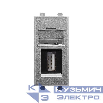 Розетка USB 2.0 1мод. Avanti "Закаленная сталь" тип А-А модульная DKC 4404401