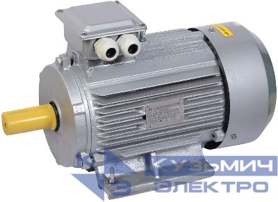 Электродвигатель АИР DRIVE 3ф 112MB8 220/380В 3кВт 750об/мин 1081 IEK DRV112-B8-003-0-0710
