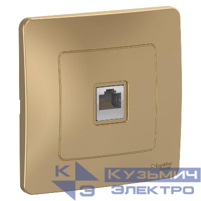 Розетка компьютерная 1-м СП Blanca RJ45 кат.5E титан SE BLNIS045004