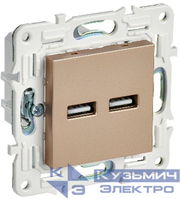 Розетка USB A+A 3.1А SKANDY SK-R15Sa песочн. IEK SK-U21-D31-K98