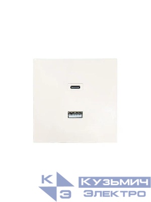 Розетка Type-C+ USB разъем СП ZIMA IP20 слон. кость LEZARD 704-9088-192TC